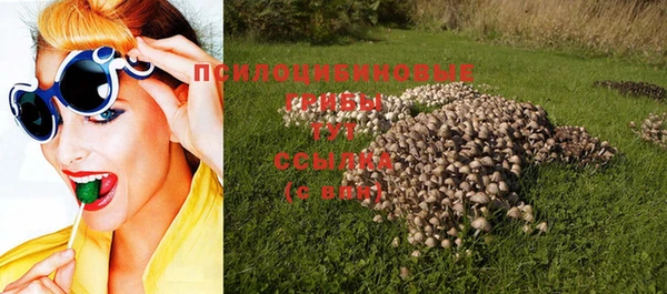 кристаллы Карпинск