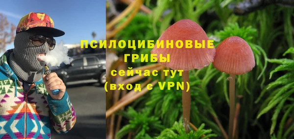 дурь Касимов
