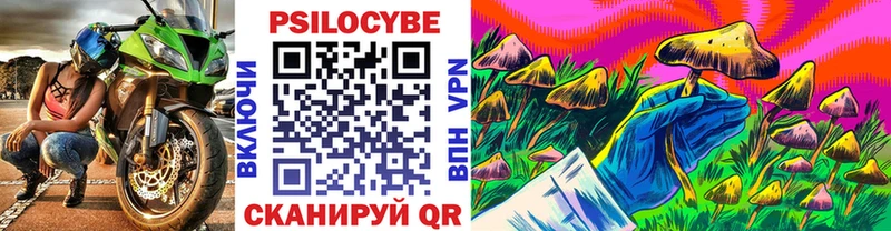 Купить закладки  Мантурово  Псилоцибиновые грибы мухоморы 